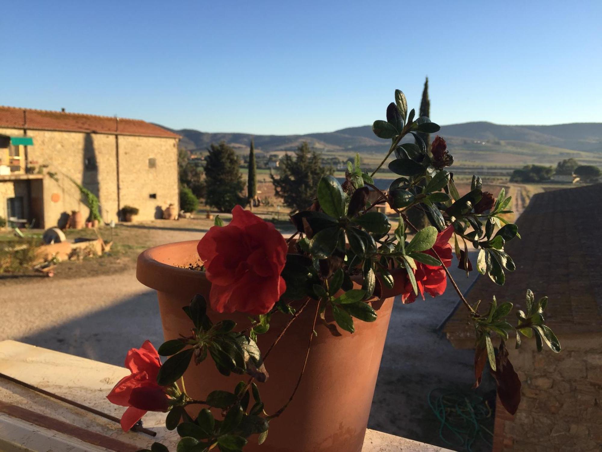 Agriturismo La Valentina Nuova Talamone Exteriör bild