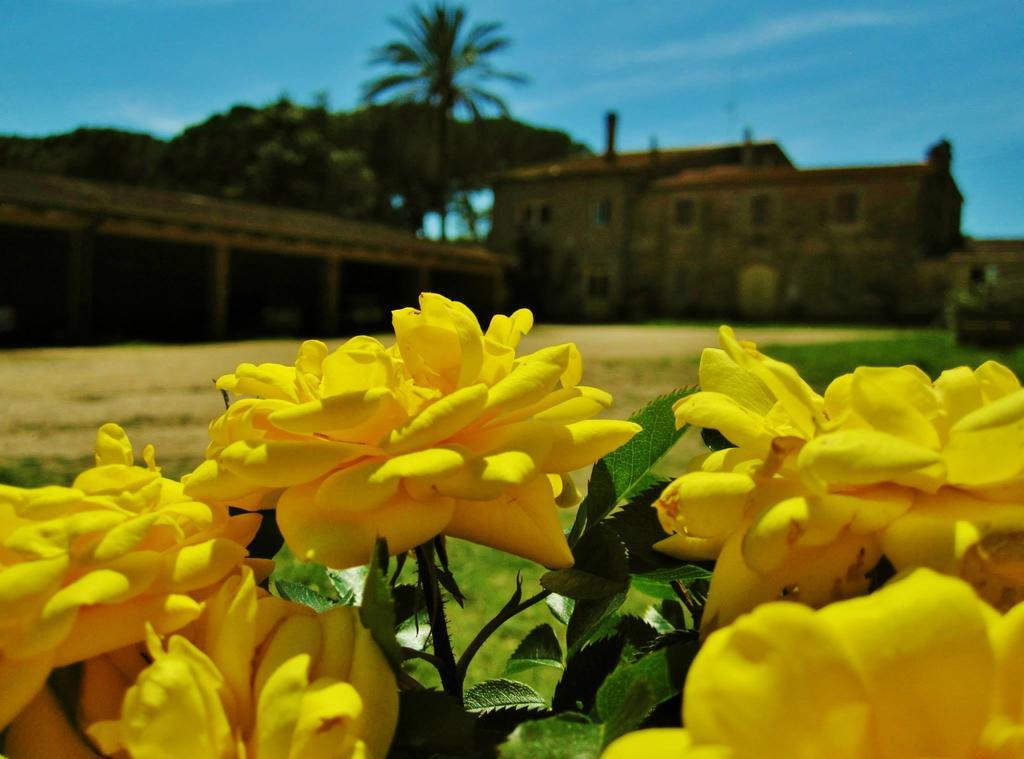 Agriturismo La Valentina Nuova Talamone Exteriör bild