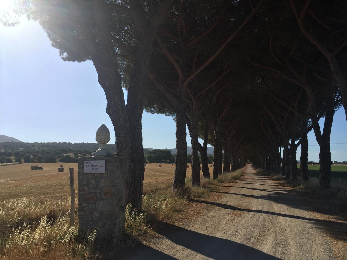 Agriturismo La Valentina Nuova Talamone Exteriör bild
