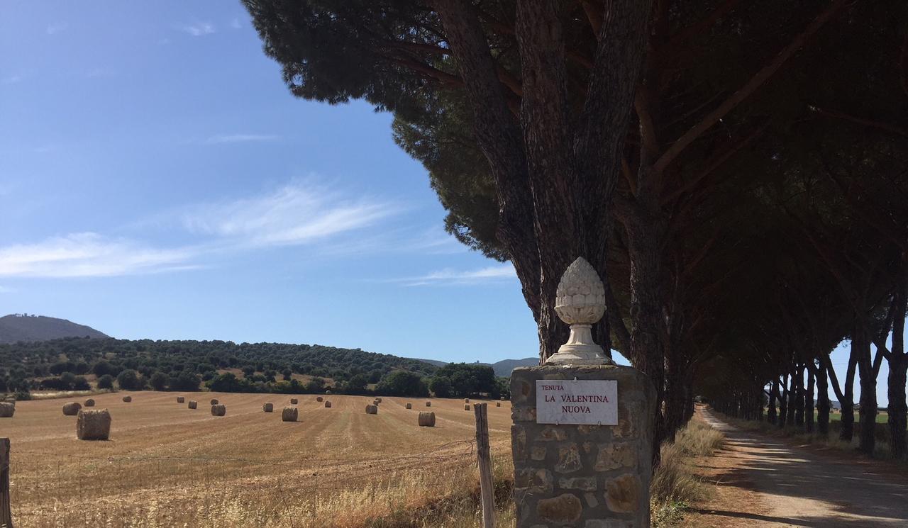 Agriturismo La Valentina Nuova Talamone Exteriör bild